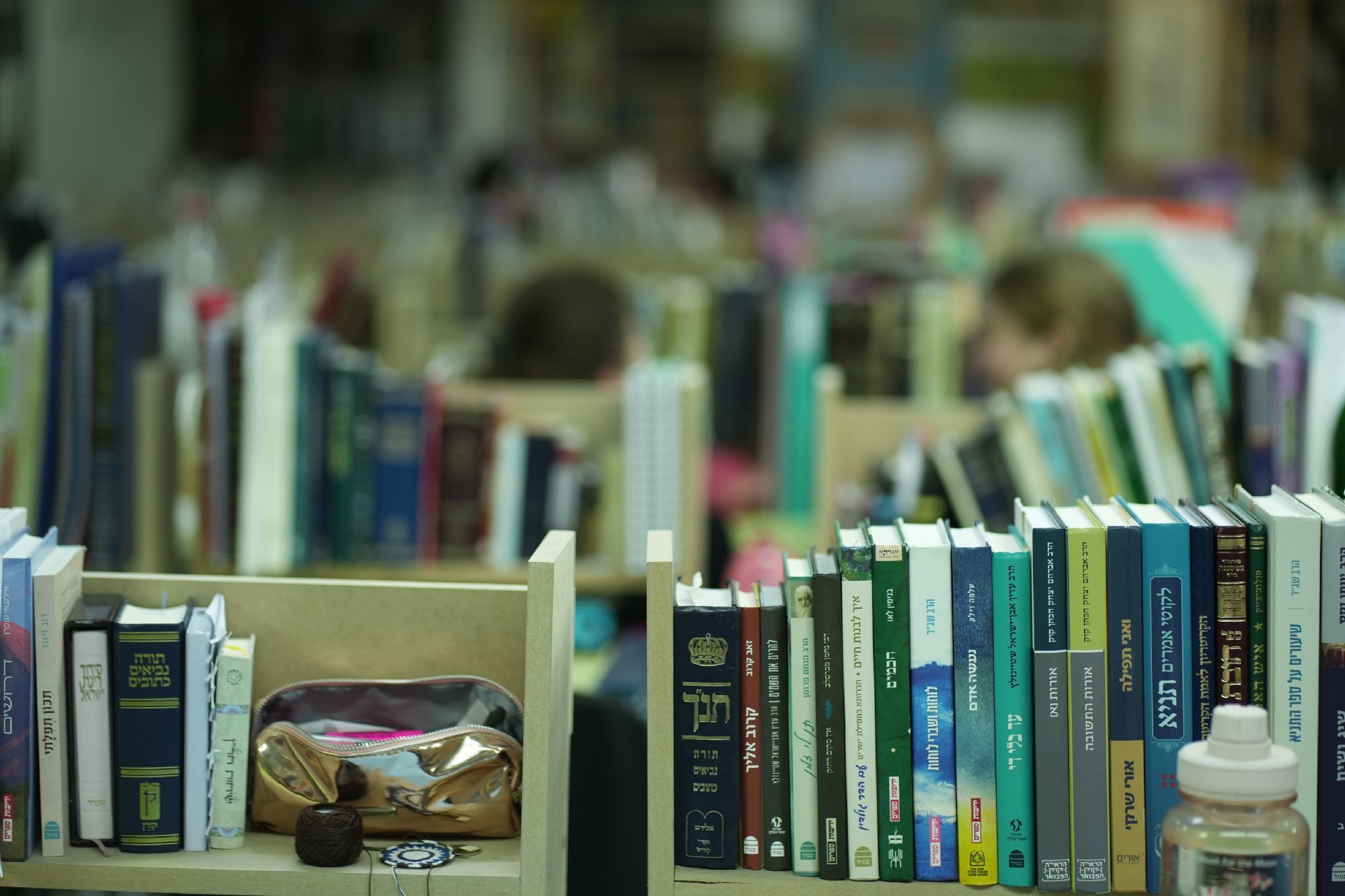 Midreshet Ein HaNatziv